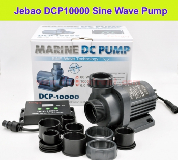 Jebao DCP Sine Wave Water Return Pump NJ Delivery