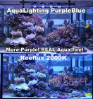 Compare with Reeflux 2000K