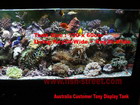 Australia Customer Tank