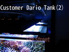 Dario Tank