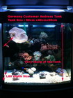 Customer Display Tank L60