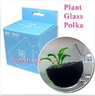 Plant Glass