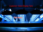 Customer Display Tank In SPS
