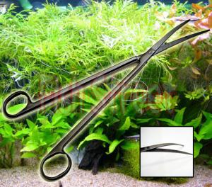 Aquarium Plant Straight Scissor for Freshwater