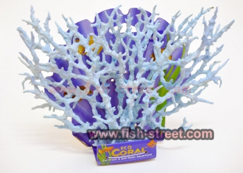 SPS Coral Figure 