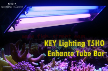 Key Lighting T5HO Enhance Tube Bar