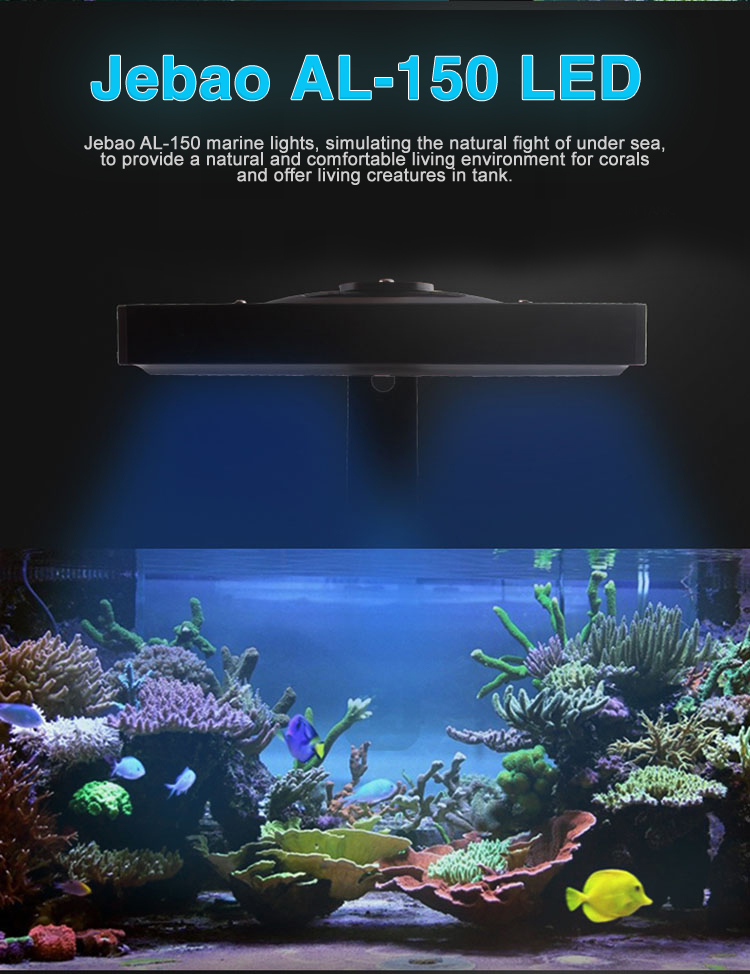 730 Koleksi Wave Design 150 Aquarium Erfahrungen HD Terbaru