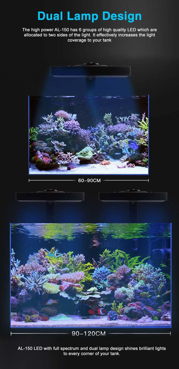730 Koleksi Wave Design 150 Aquarium Erfahrungen HD Terbaru