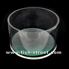 Reefglass-w531.jpg