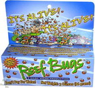 Reef Bugs